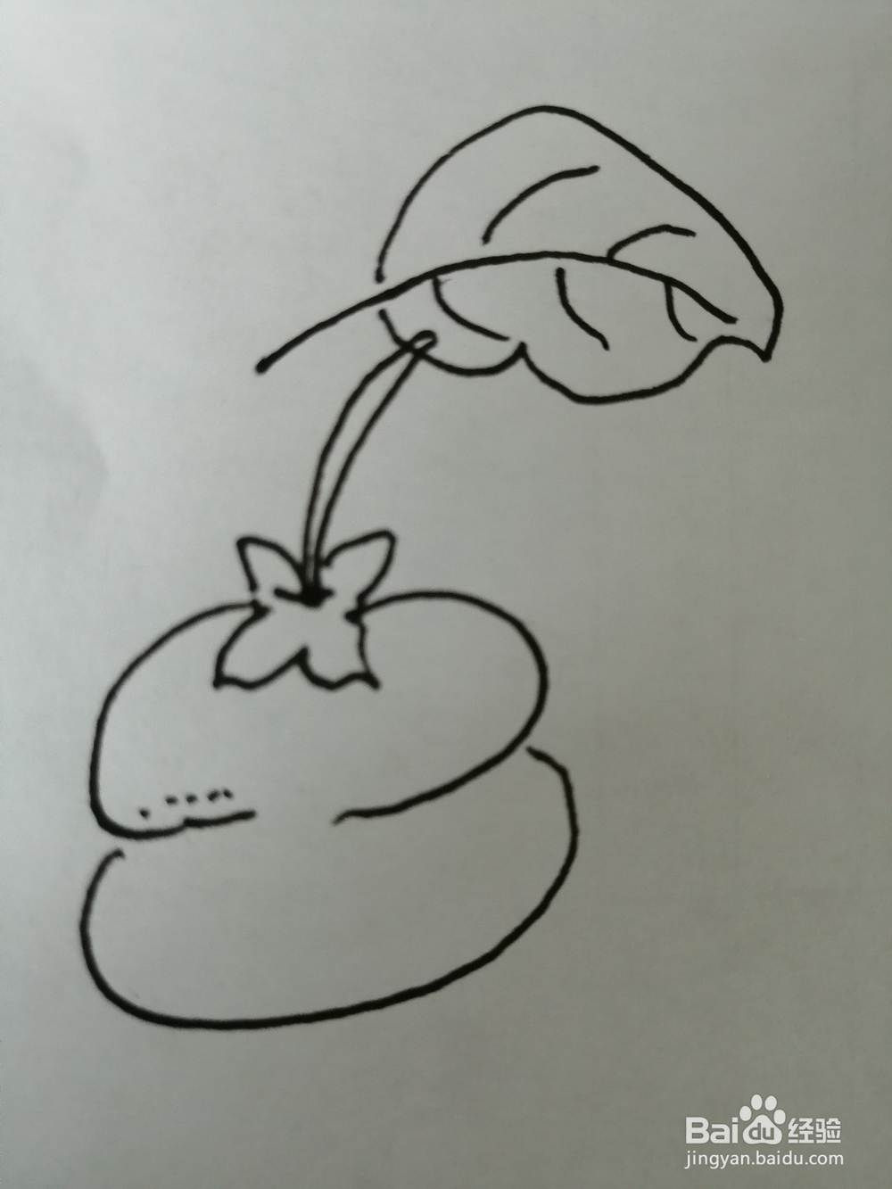 简笔画柿子怎么画
