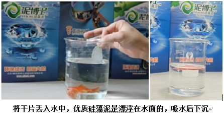 硅藻泥硅藻土含量检测试验