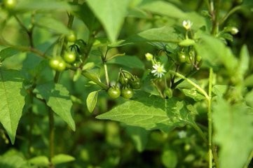 旅客运输办理细则--铁路实作必备部分