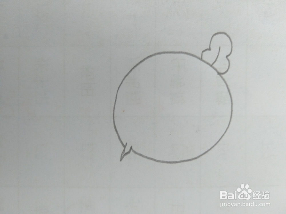 简笔画萝卜画法二