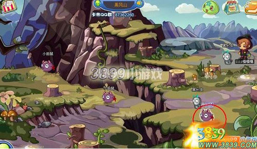 卡布西游大耳奔练级攻略