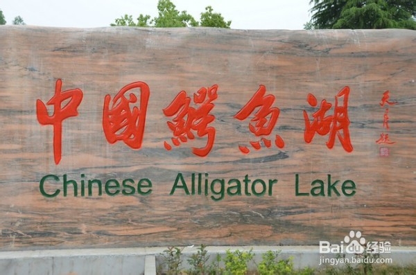 安徽省~宣城市-中国鳄鱼湖-敬亭山风景区自助游