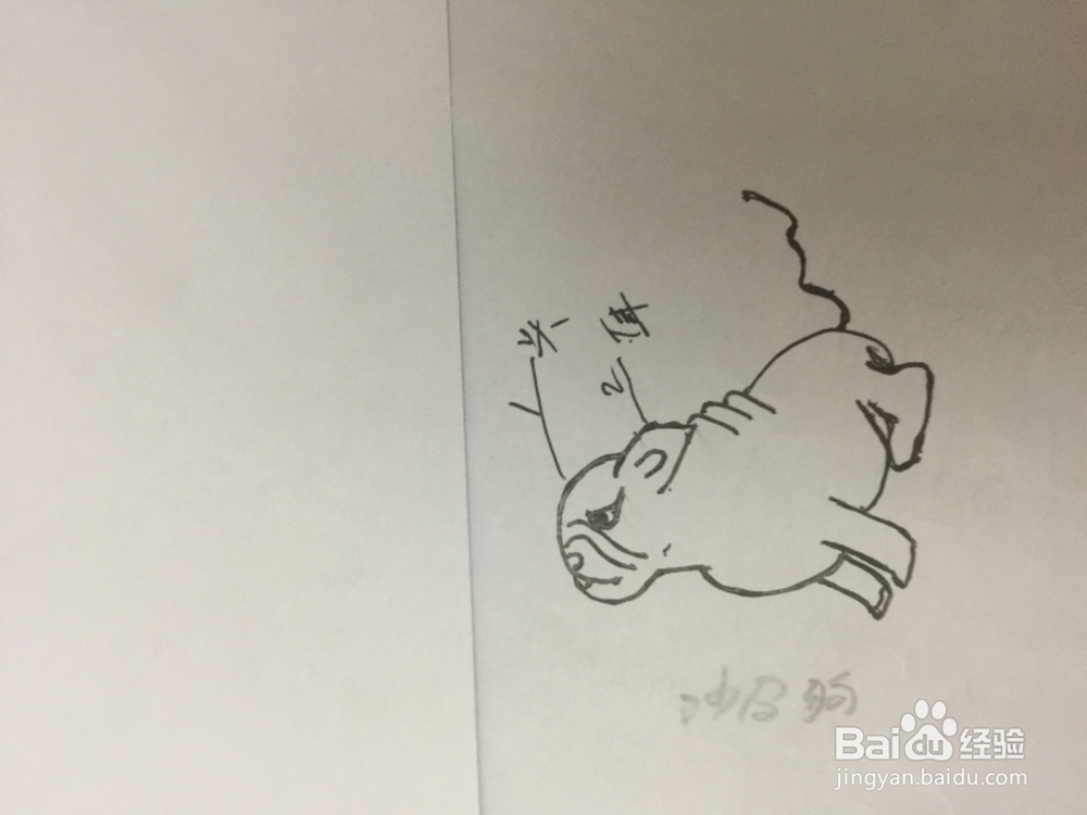 如何画在想问题的沙皮狗。