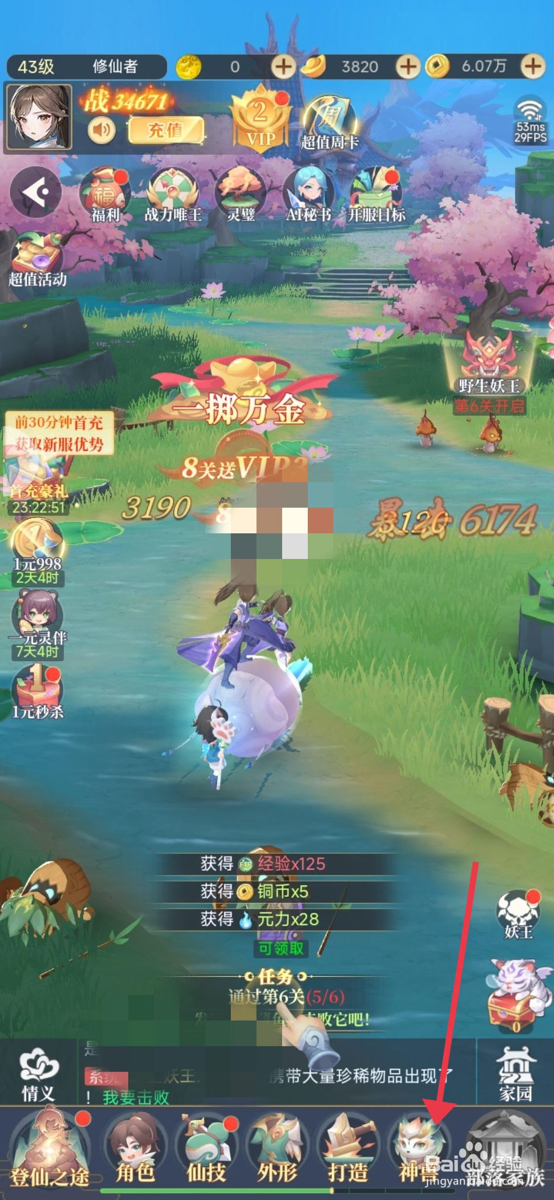 一念山海如何【升级灵兽飞鼠】？