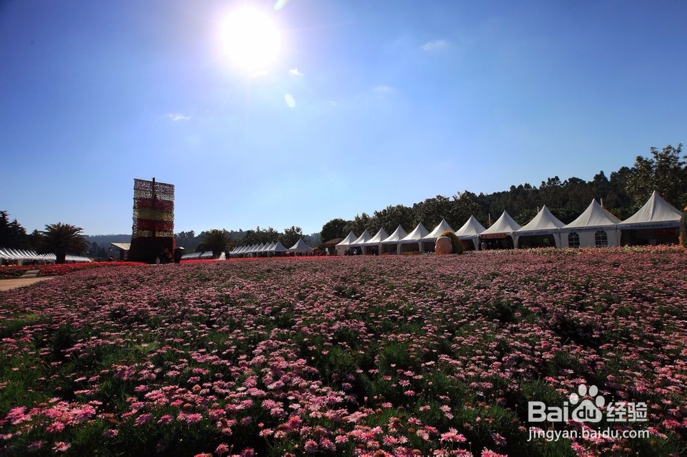 如何选择云南的景区