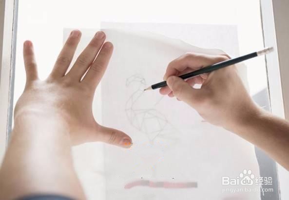 如何刺绣一只欧美风格“烈火鸟”