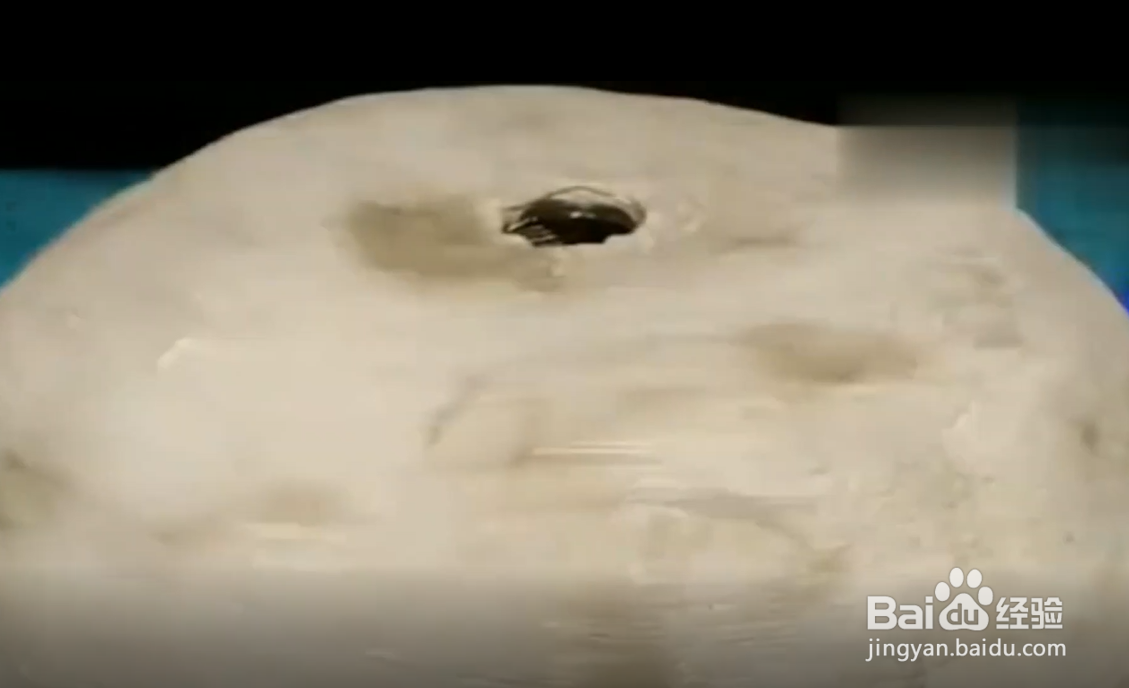 如何用水泥做出各种花盆？