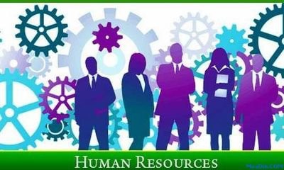 在校大学生怎样备考企业人力资源管理师三级？