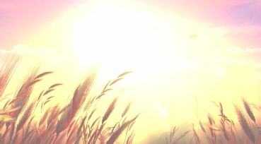 视频编辑：[9]如何调整视频的亮度