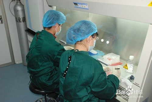 股票八月第一周指标分析