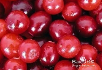 能减轻压力的食物有哪些