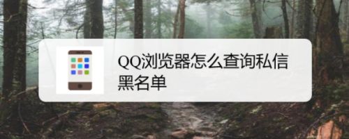 qq浏览器怎么查询私信黑名单