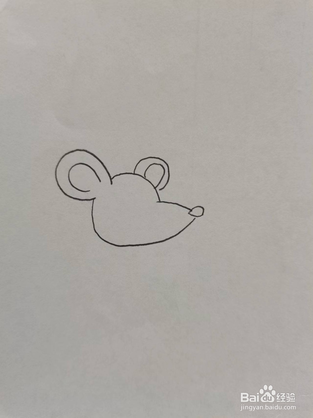 铅笔画吃饱的小老鼠