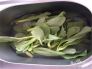 家常菜清炒小青菜的做法