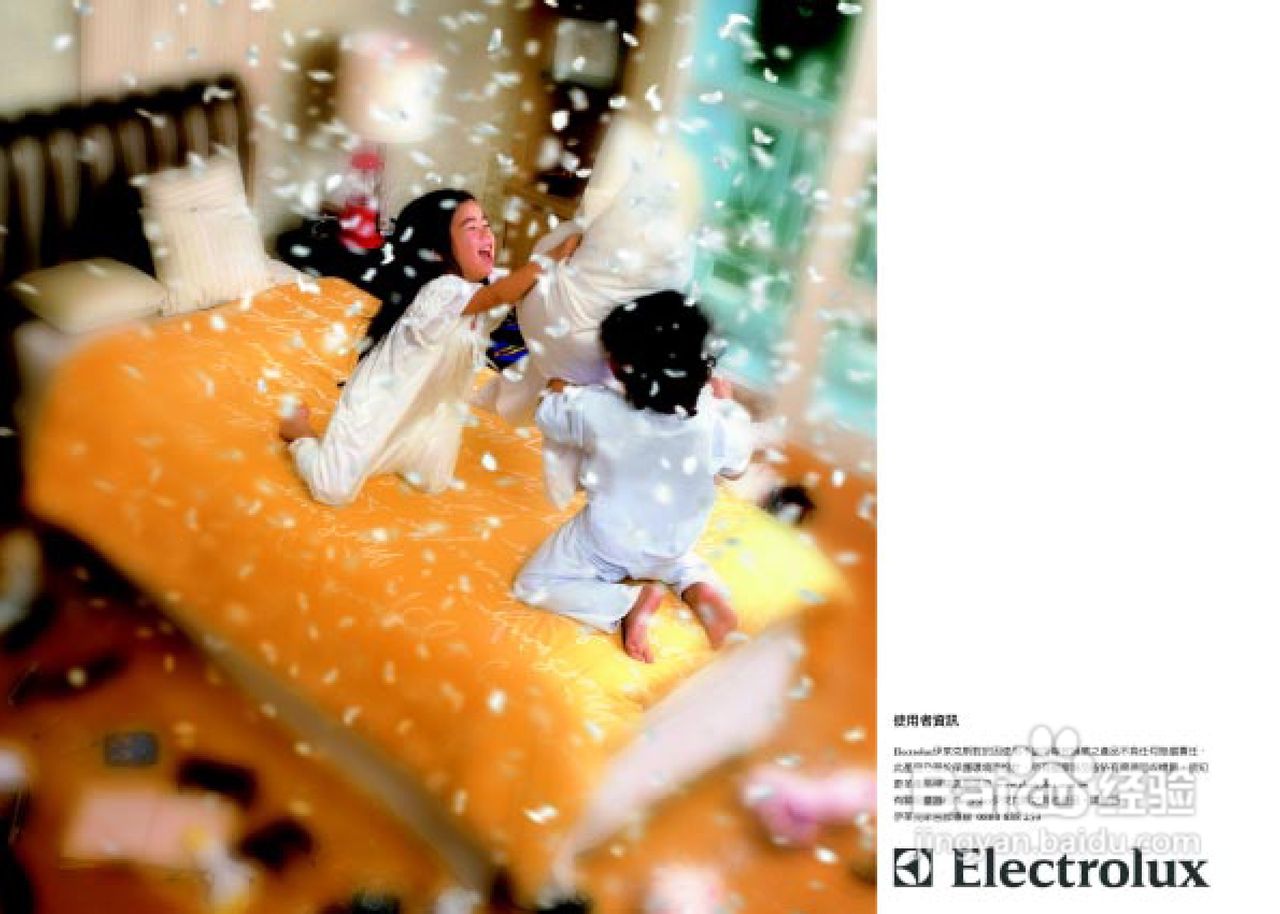 伊莱克斯Vac-clario充电式吸尘器说明书