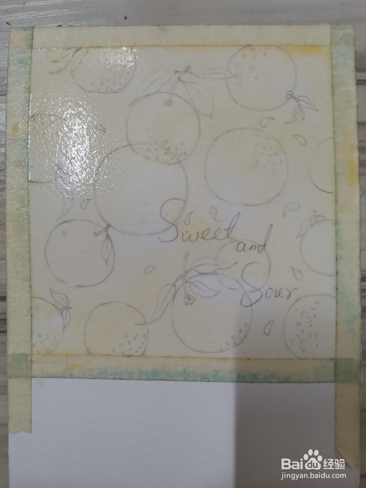 橘子水彩插画上色教程