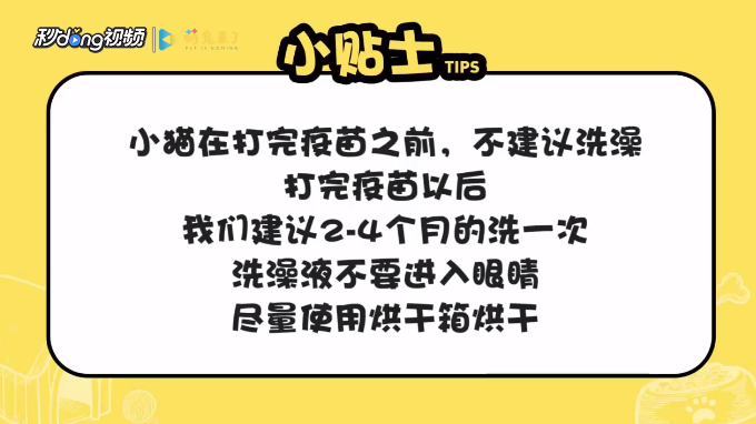 怎样正确给幼猫洗澡