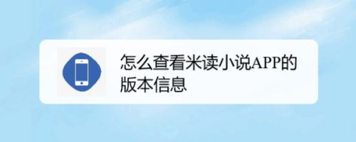 怎么查看米读小说APP的版本信息