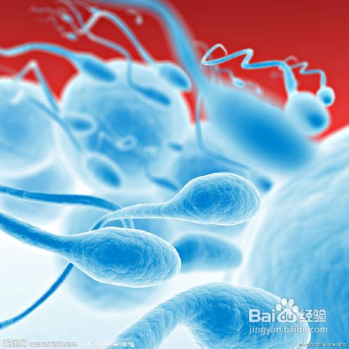 宫颈息肉影响怀孕吗