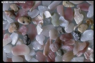 怎样在水中养绿萝