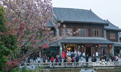2021洛阳牡丹攻略