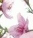 家有主妇妙招无穷49