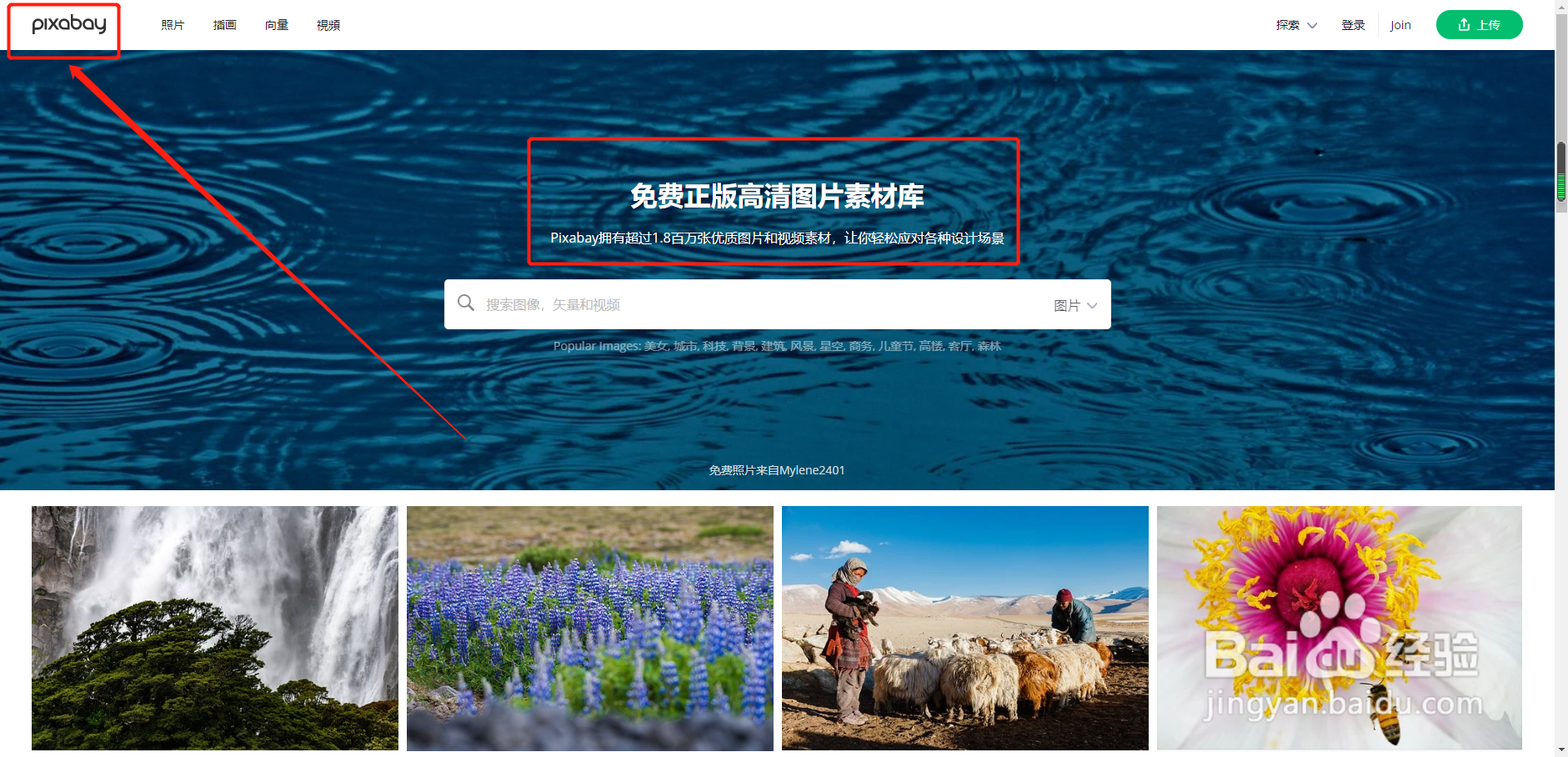 图片的免费素材网