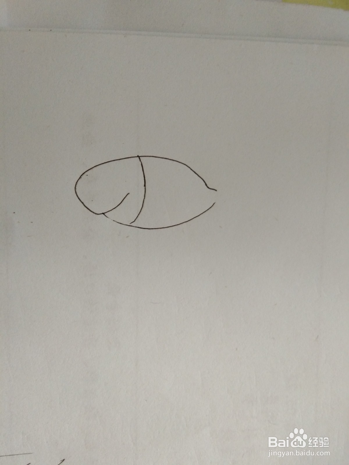 如何画简笔画小金鱼