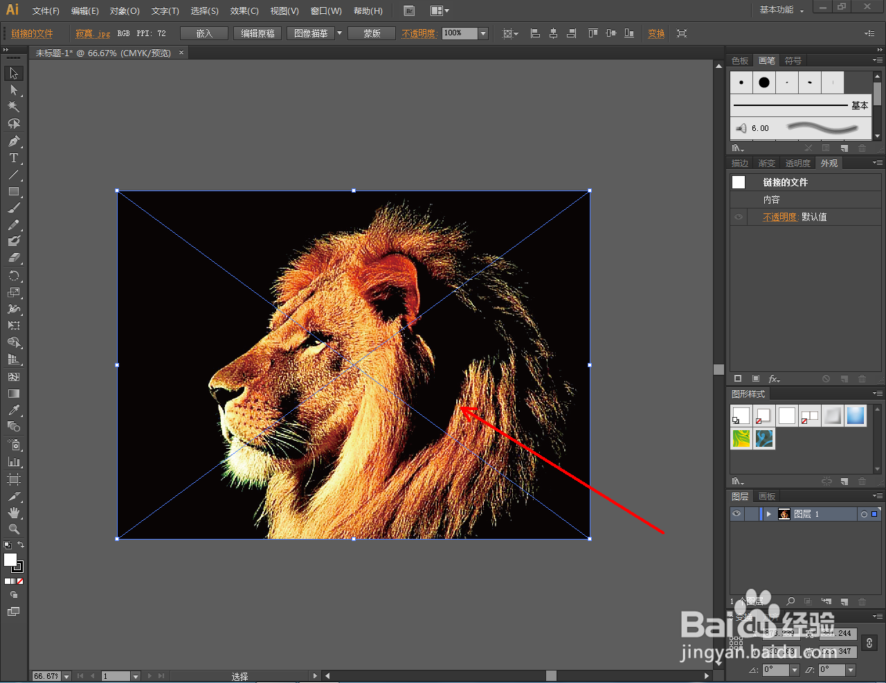 Ai怎么制作水彩效果