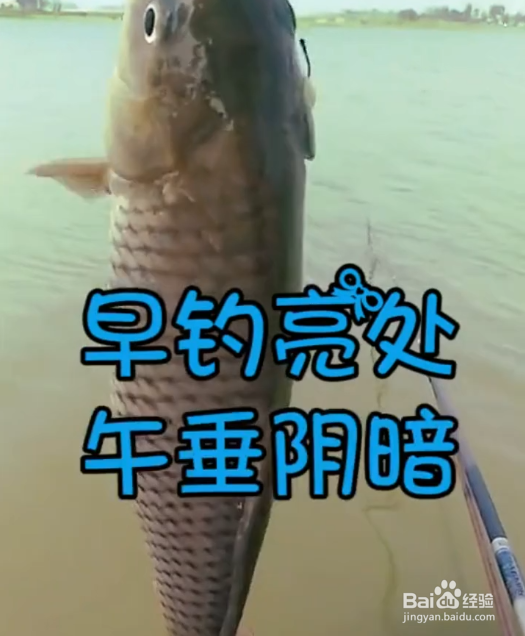 如何高效率的钓到鱼