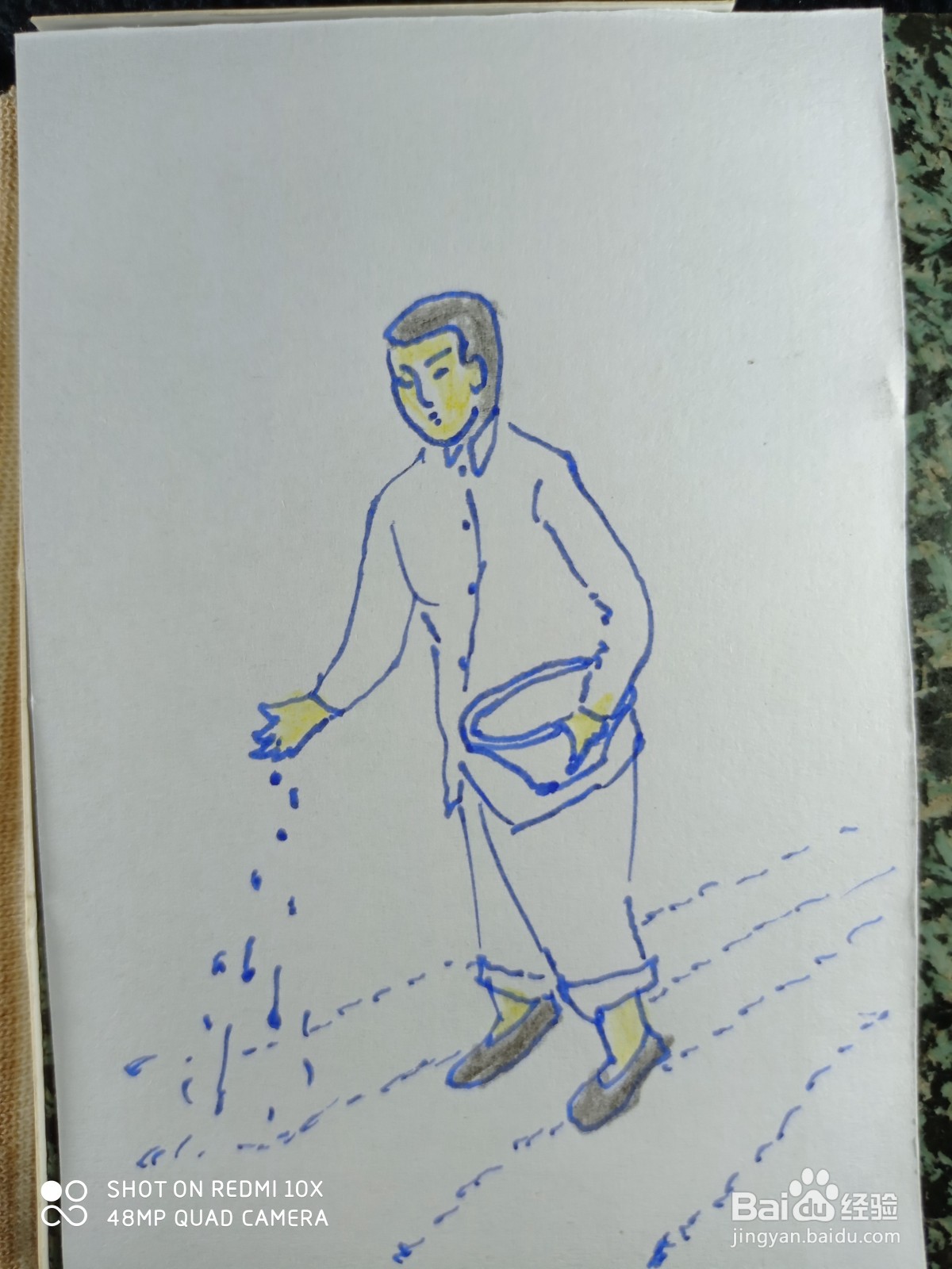 怎样画简笔画“农民伯伯撒种子”？