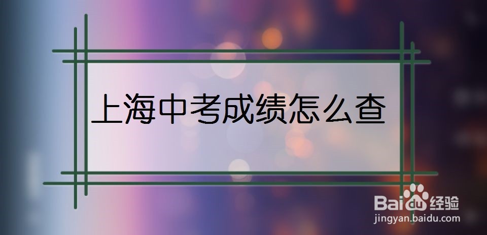 上海中考成绩怎么查