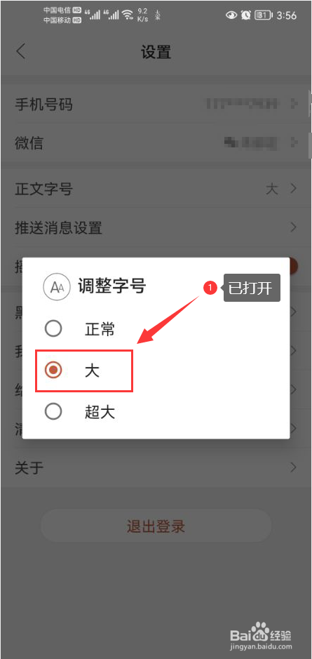 大家中医怎么设置App正文大号字体