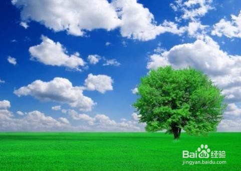 如何将通道作为选区载入