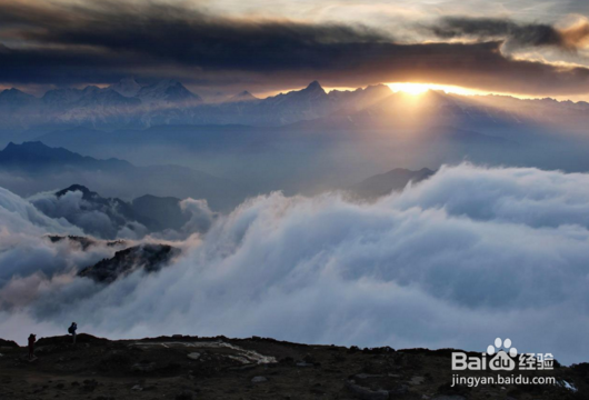 办农业合作社证件有哪些？