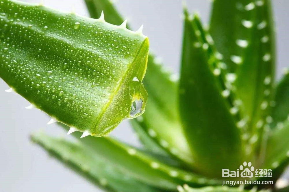 女生体寒不能吃那些事物？