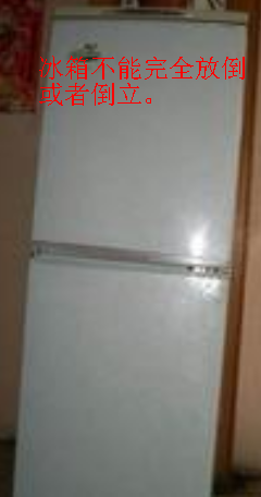 租房应该怎么选择