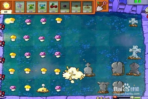 植物大战僵尸通全关的攻略。（十六第2---6关）