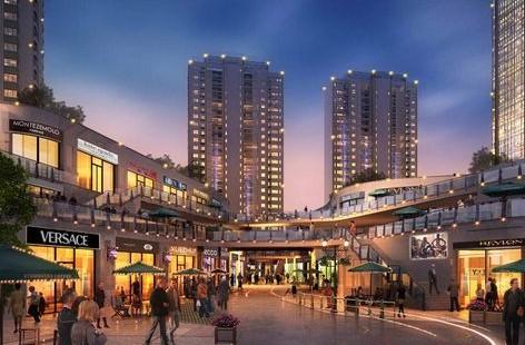 什么叫城市综合体