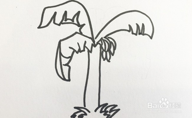 怎么画一棵芭蕉树？