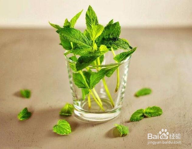 痘痘痘痘发炎红肿怎么办?怎么快速消除?