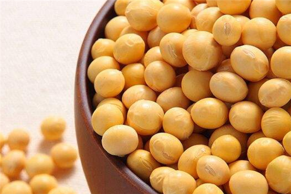 小孩子七岁吃什么可以增加记忆力