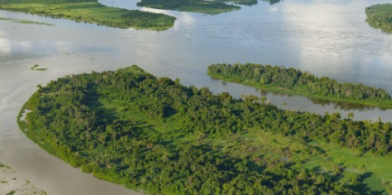 世界上最大的盆地是哪里