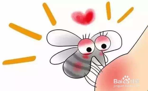 登革热高发季,如何有效预防登革热