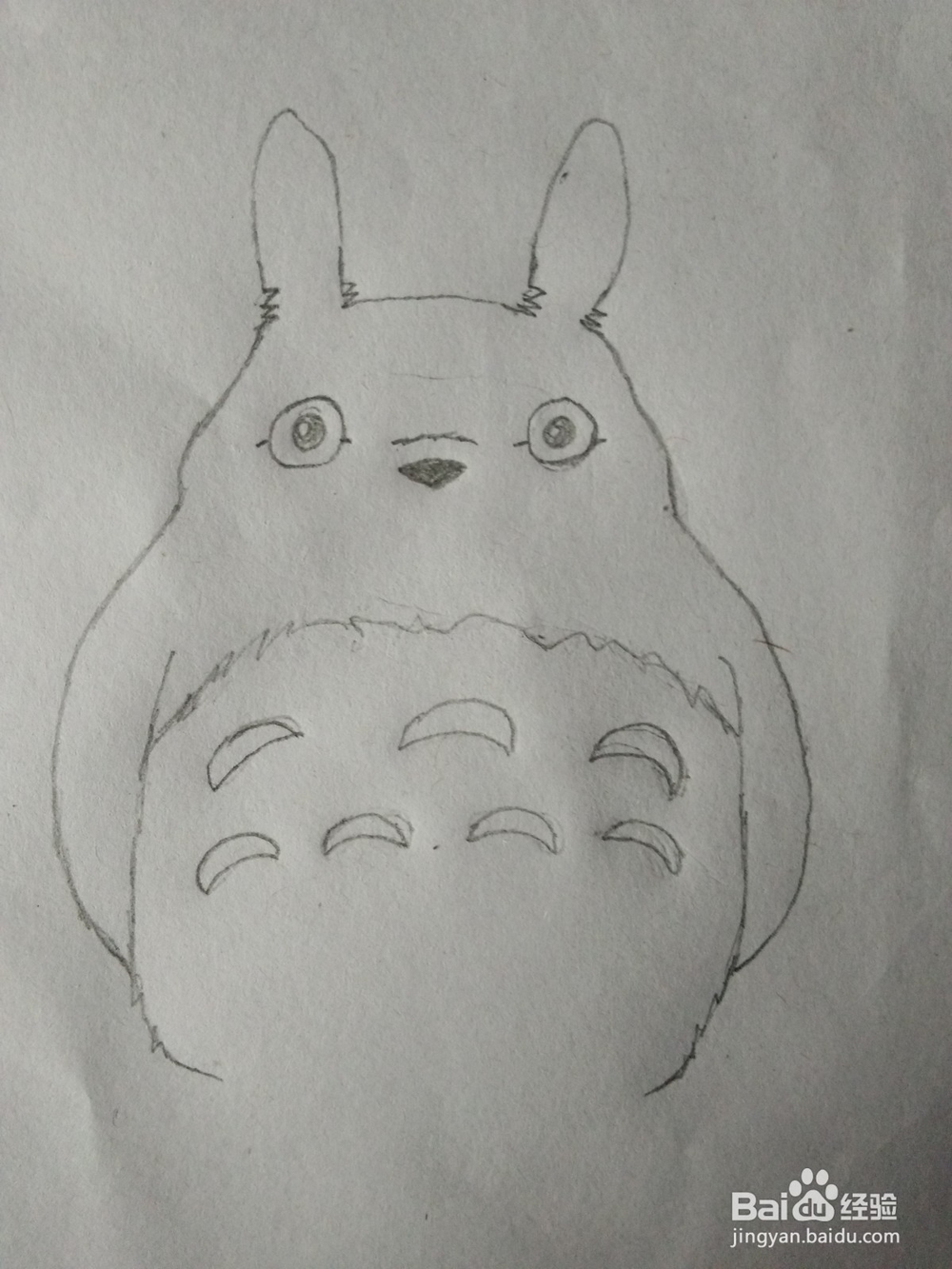 简笔画——怎么画龙猫