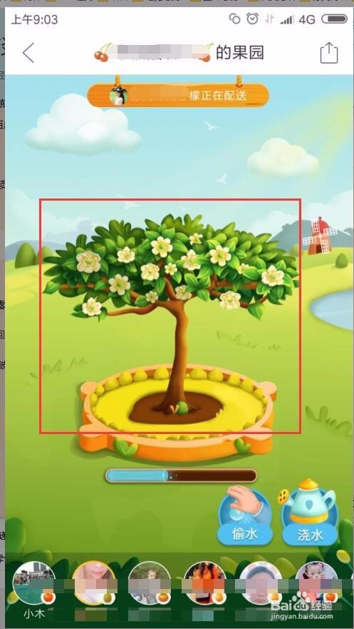 拼多多果园施肥可以关掉?多果园成长值怎么解决?