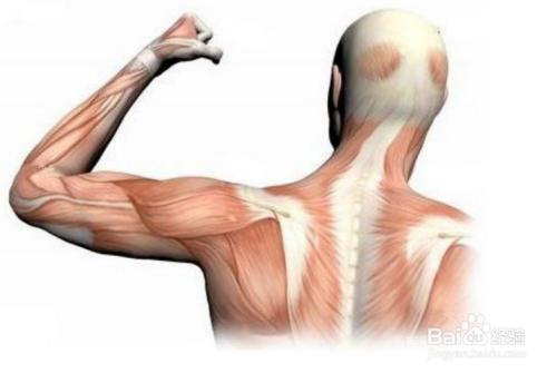 解析复元奇方饮的神妙，近一步了解她/它！