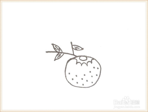 一笔一笔教你画芦柑简笔画