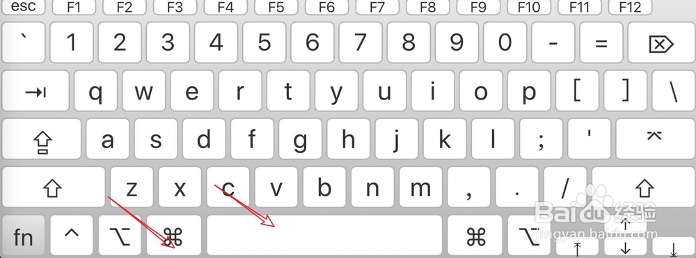 教你如何在Safari浏览器中阻止弹出式广告