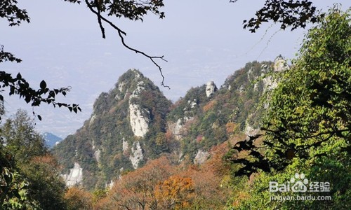 王顺山国家森林公园攻略